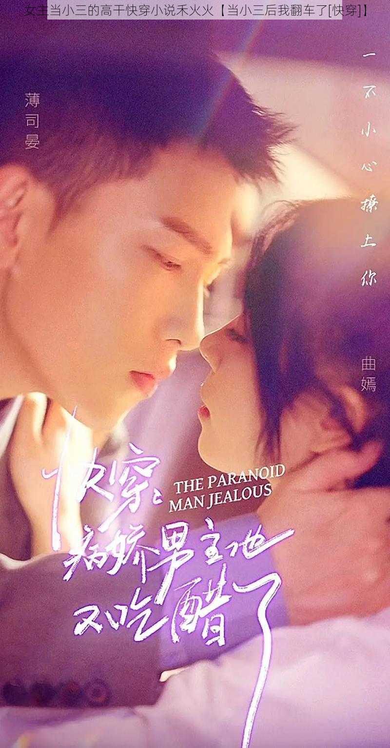 女主当小三的高干快穿小说禾火火【当小三后我翻车了[快穿]】