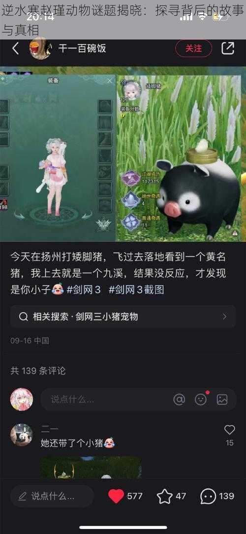 逆水寒赵瑾动物谜题揭晓:探寻背后的故事与真相