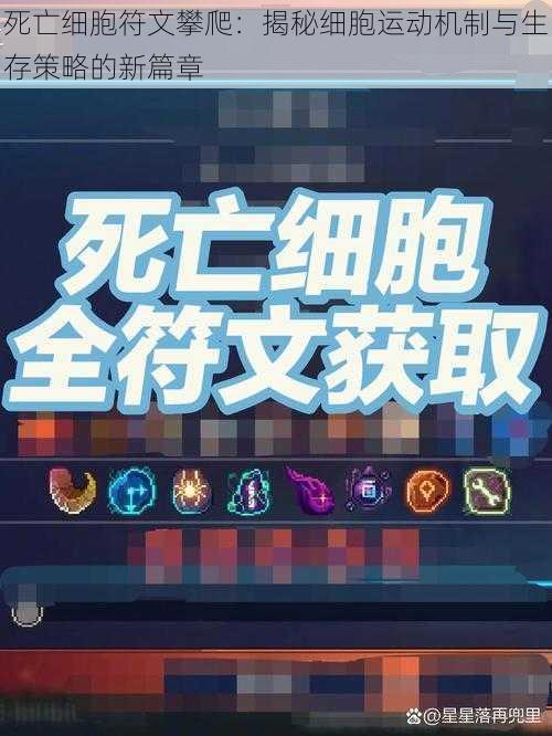死亡细胞符文攀爬:揭秘细胞运动机制与生存策略的新篇章