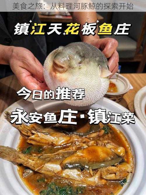 美食之旅：从料理河豚鲸的探索开始