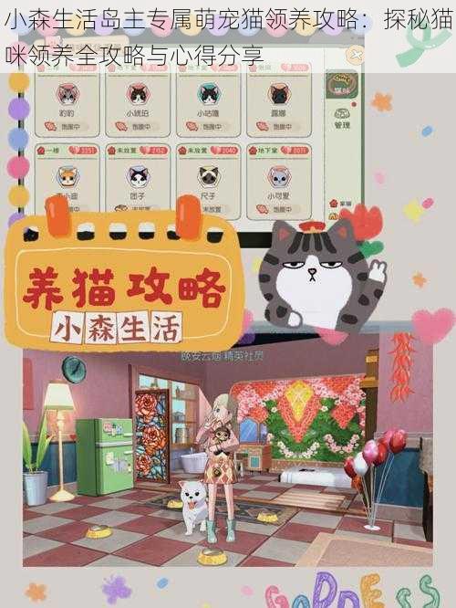 小森生活岛主专属萌宠猫领养攻略：探秘猫咪领养全攻略与心得分享