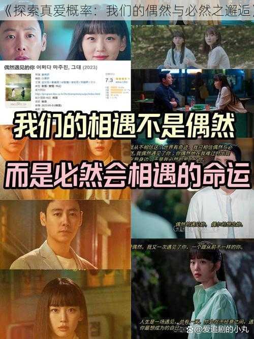《探索真爱概率：我们的偶然与必然之邂逅》